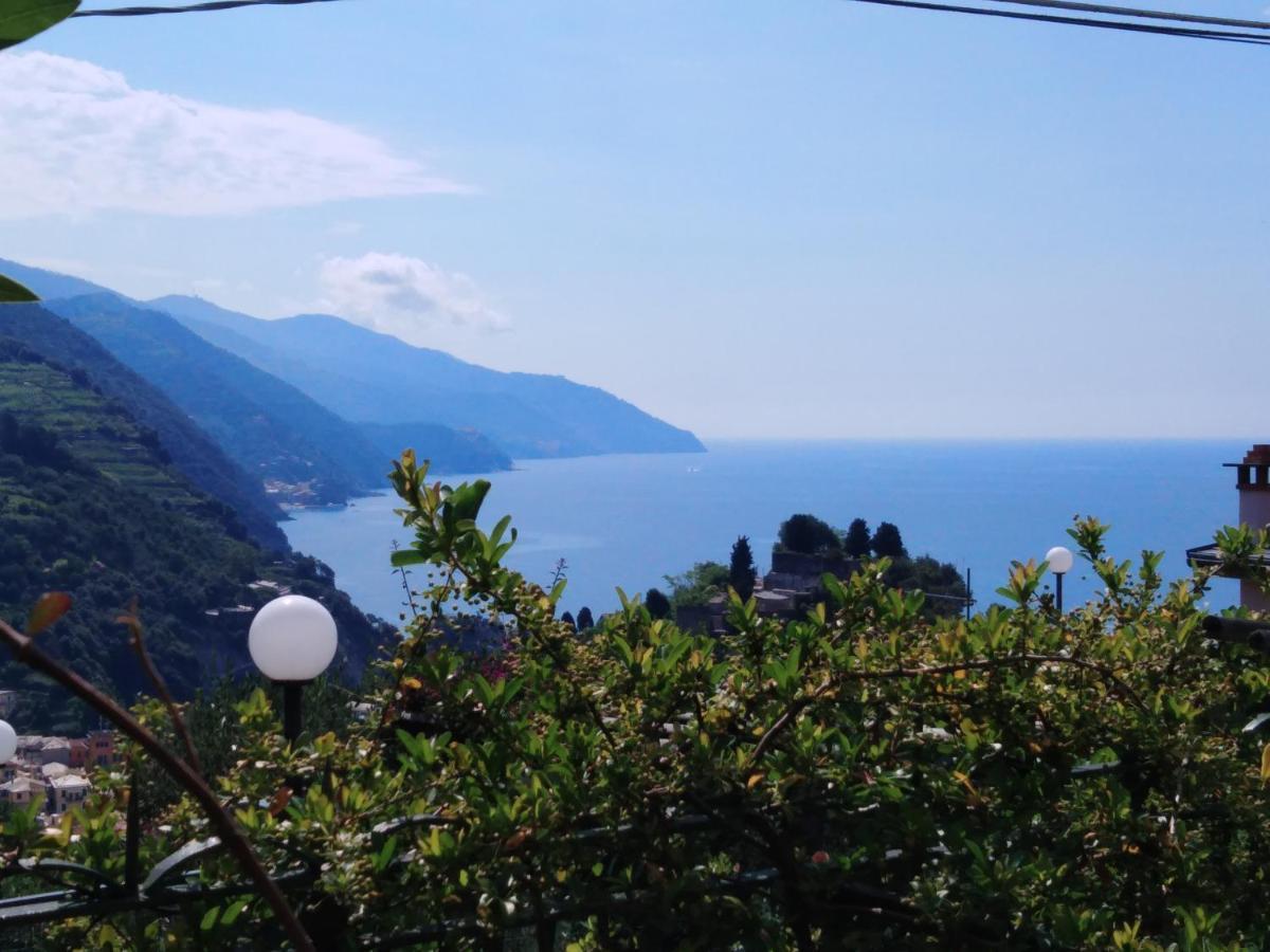La Cabana Cinque Terre Monterosso Monterosso al Mare Exterior photo